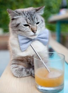 绿茵场外的总决赛,巴拉圭爆冷伊朗背后的全球体育叙事迁移