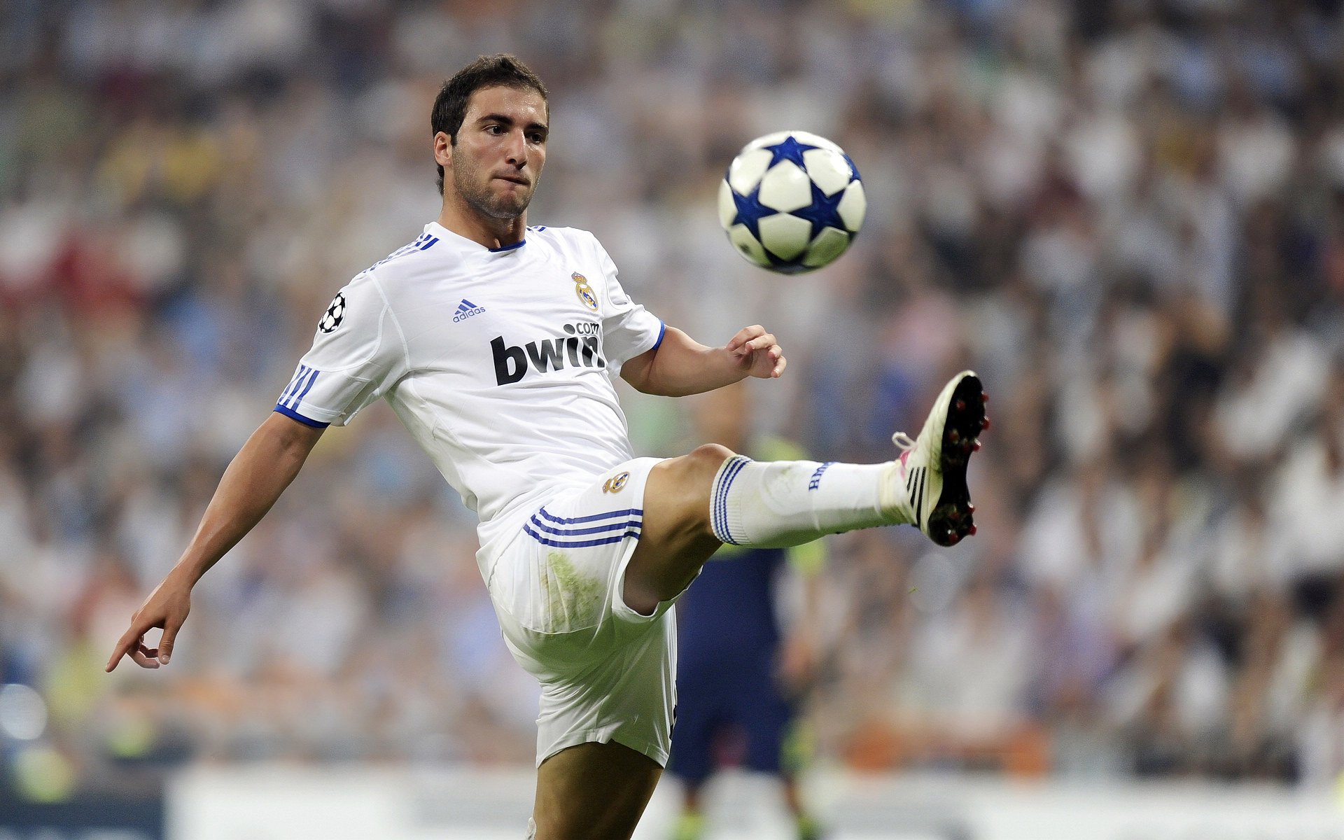 深圳队压制国王,哈利伯顿关键回合不手软