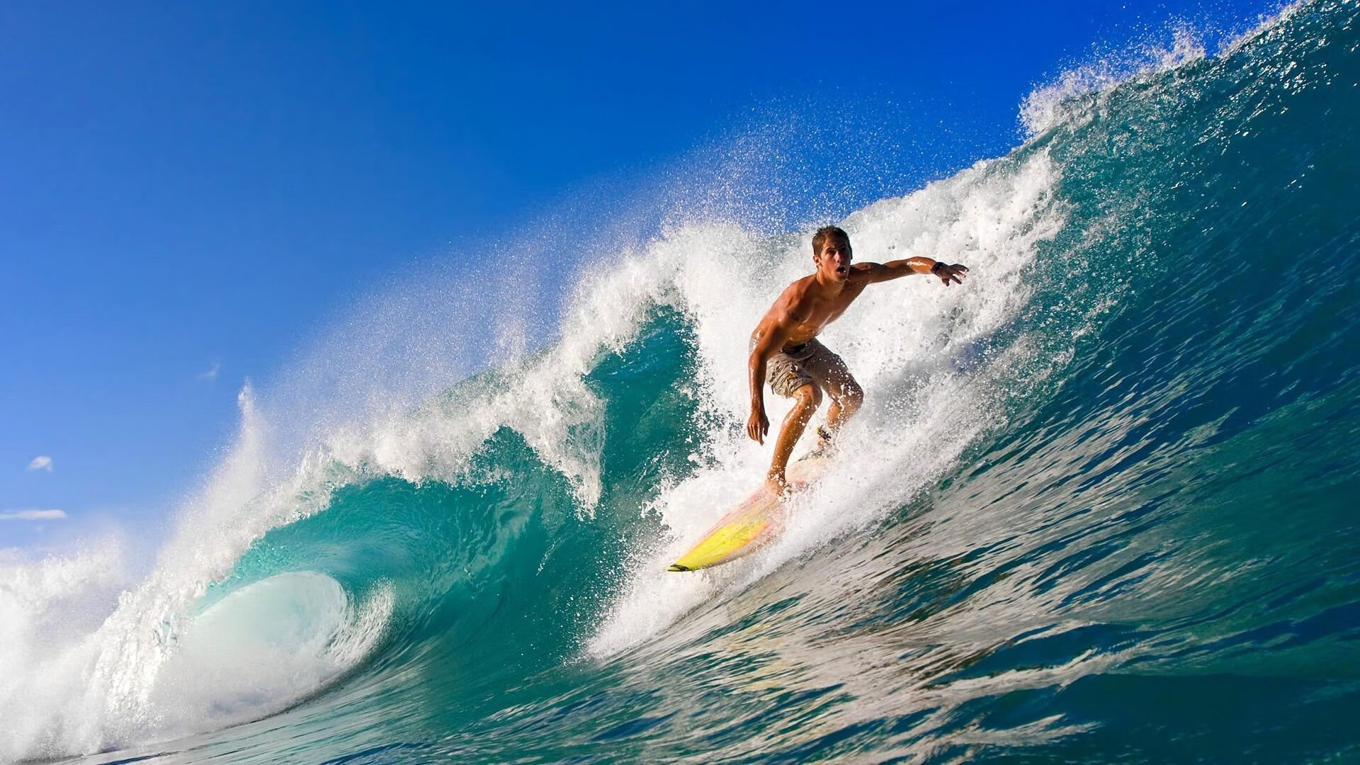 鹰击长空,船行浪尖,F1年度争冠的终极血拼